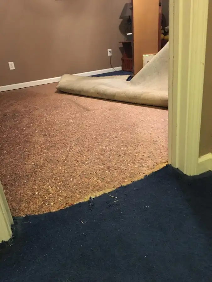Carpet pad removal revealing water damage during Drying & Dehumidification in Collinsville