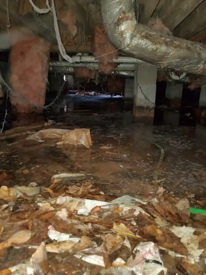 Crawl space flood assessment for Commercial Water Damage Restoration in Collinsville