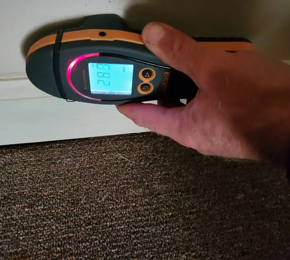 Moisture detection at baseboard during Sewage Cleanup & Sanitation in Collinsville